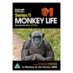 MONKEY LIFE SERIES 11